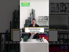 Einfach zu installieren Rost-Widerstands-Zyklon-Drahtketten-Verbindungszaun für die Farm