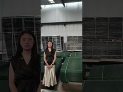 Sichtschutzzaun Anti-Kletter-Sicherheitszaun zur Palettenherstellung