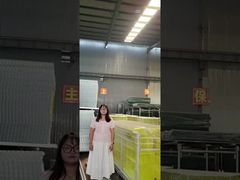 Grenzschutzbarriere mit selbsttragendem Untergrund